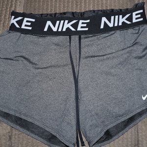 Nike Dri-Fit Dry Training Shorts